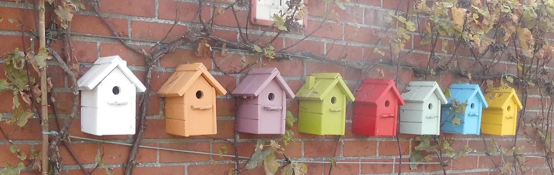 Nestkastjes - Hooglede - West-Vlaanderen - België