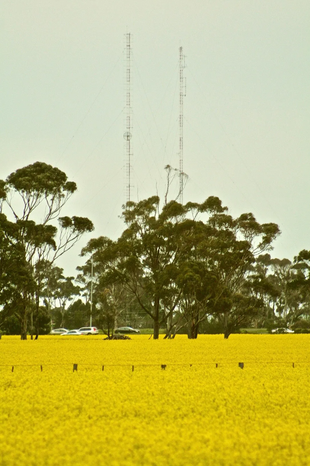 Radio towers and canola fields in Hoppers Crossing
