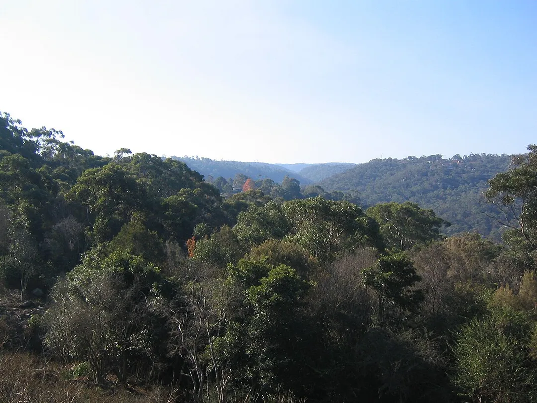 Looking across Hornsby Heights (and Mount Colah) from Rofe Park, Hornsby Heights, Sydney, Australia.