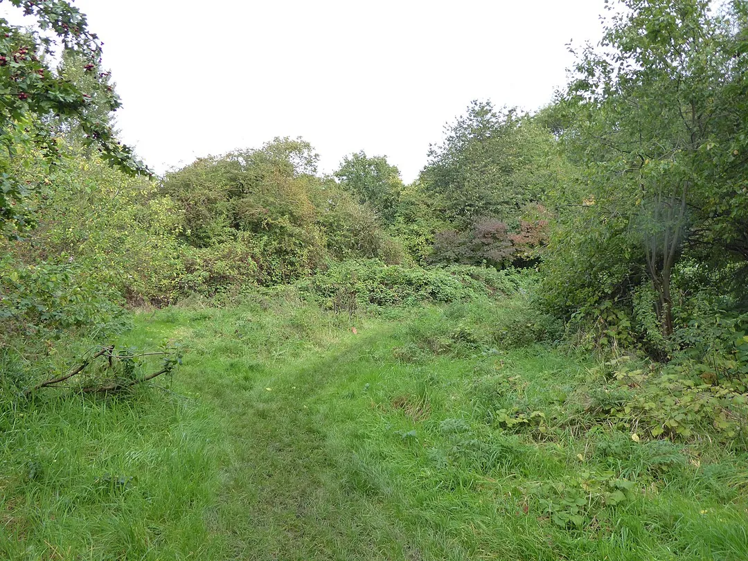 Part of Humberstone Park in Leicester is a Local Nature Reserve.