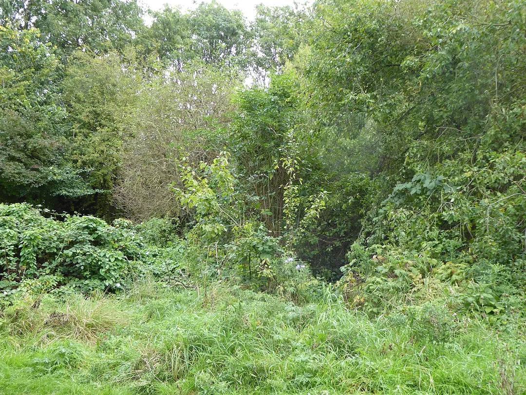 Part of Humberstone Park in Leicester is a Local Nature Reserve.