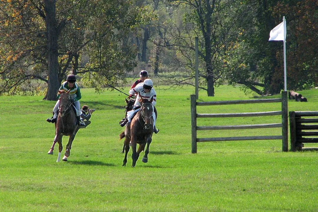 Some contestants of the Genesee Valley Hunt Cup, run during the 2007 Genesee Valley Hunt Races.