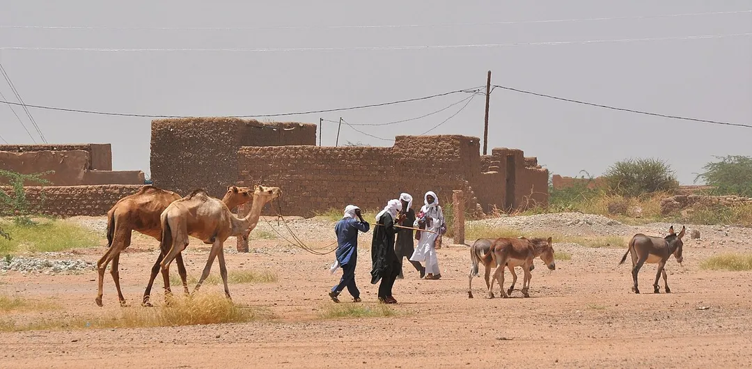 Pedestrians with livestock in In-Gall, a town in central Niger (rural commune of In-Gall, Tchirozerine department, Agadez region).