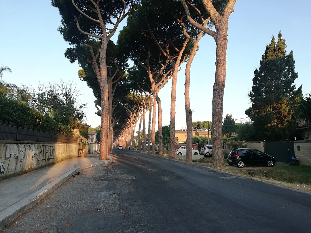 Quartiere Infernetto, Municipio Roma X