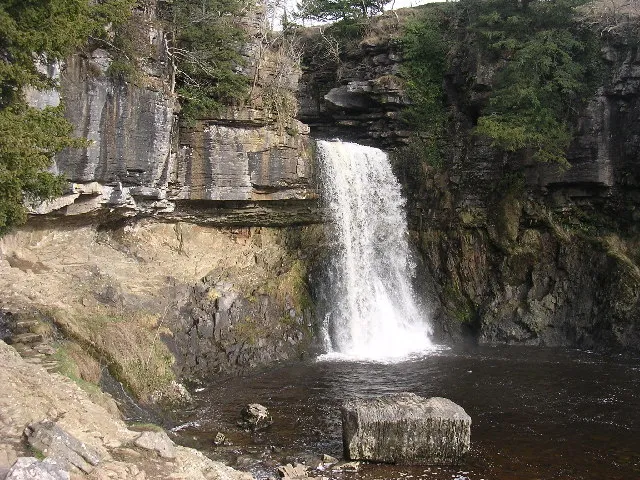 Thornton Force
