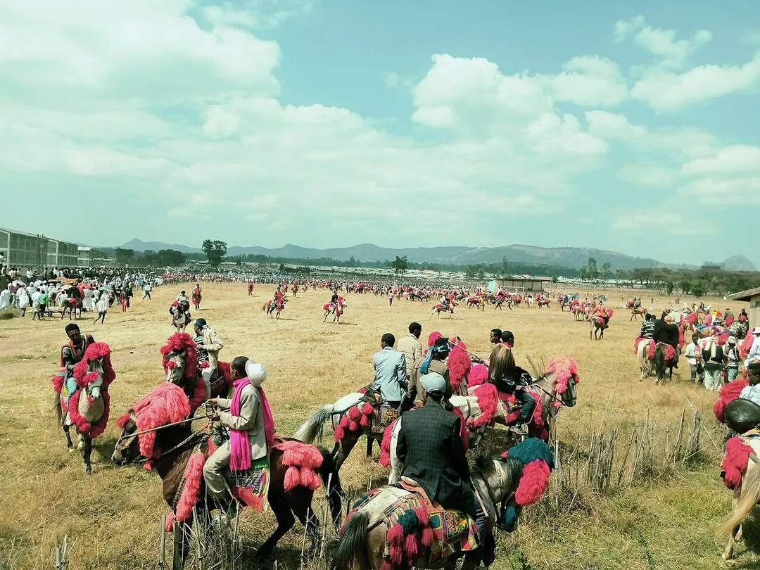 Before 81 years horse riders in the Awi Zone of the Amhara region established the sebat bet Agew horse rider associations. Today more than 40,000 horse riders are the member of the association. By the end of January, the association annually conducts a horse-riding parade and show in Injibara town. The sebat bet Agew horse riders association was established by people of the local who were fighting the Italian invaders. The annual horse-riding festival is probably the largest horse riding festival on the planet level. Riders colorfully decorate their horses, local people prepare the cultural food and beverage of the society, and it’s a real day of the feast.