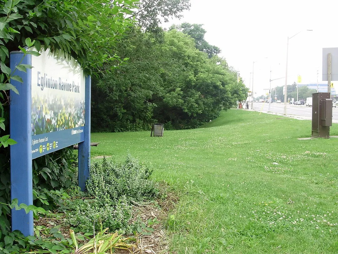 A view of the green space protected by Eglinton Ravine Park in the neighbourhood of Ionview in Scarborough, Canada. The Taylor-Massey Creek, a tributary of the Don River, flows within the ravine surrounded by trees in the center of the photo.