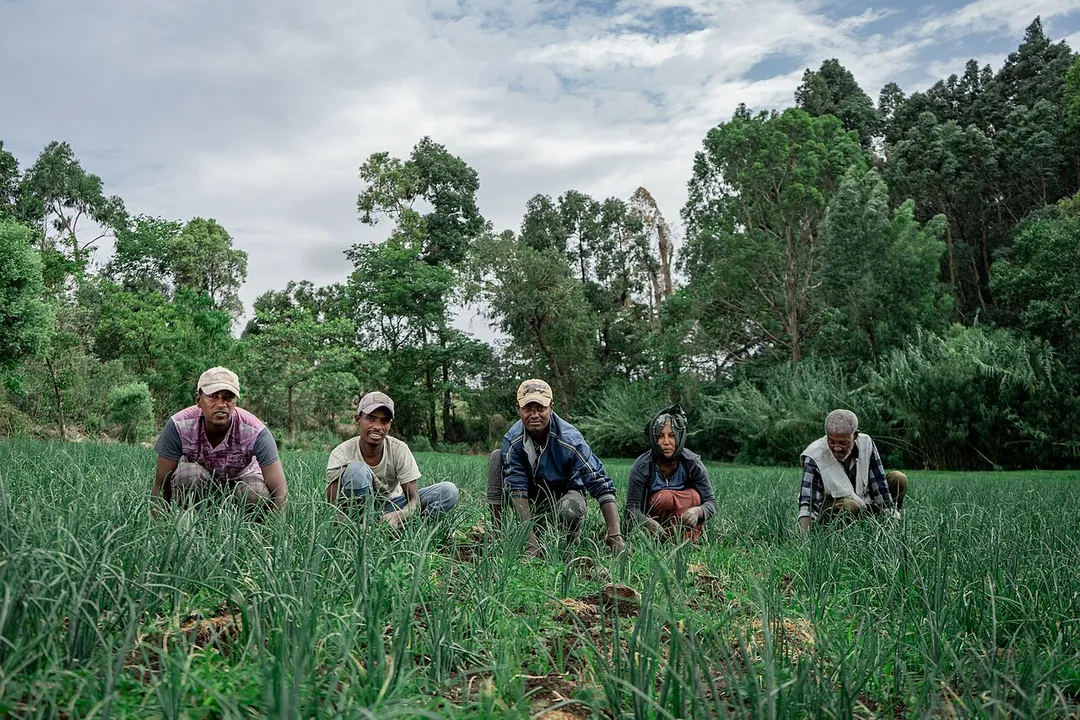 This is an image with the theme "Farm to Plate" from: