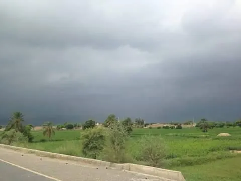 Green Agriculture City Jalalpur Pirwala