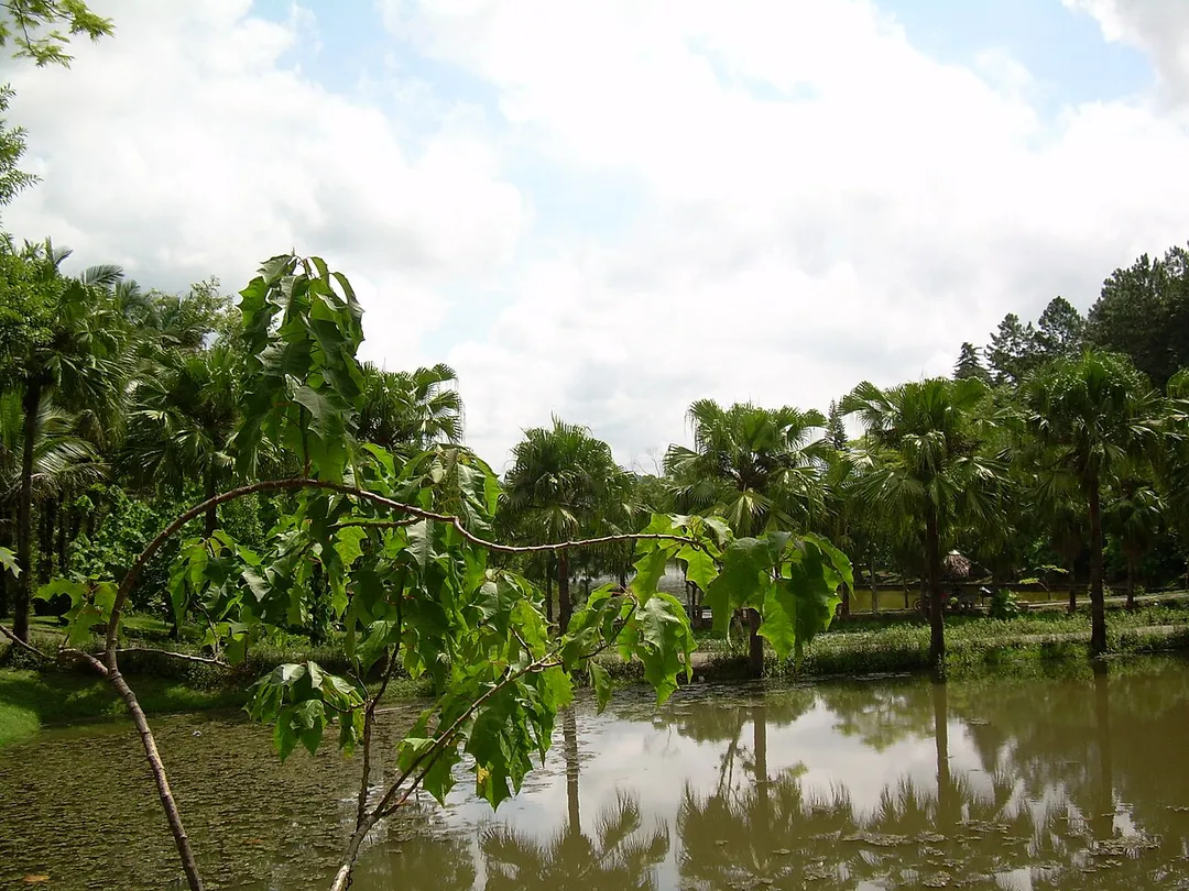 Malwee's Park in Jaraguá do Sul, Brazil.