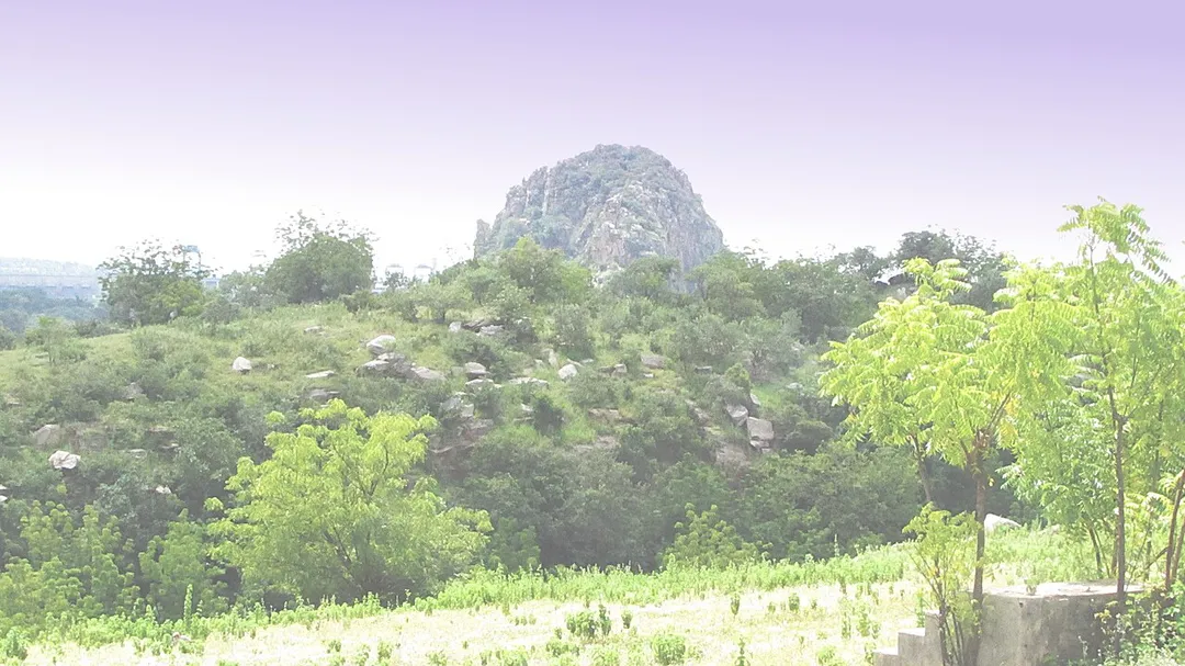 Juju Rock. View from Mongo Park Cenopath