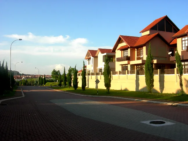 Photo of Jelutong