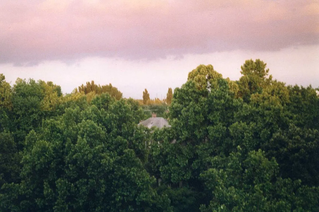 Haller Park after rain