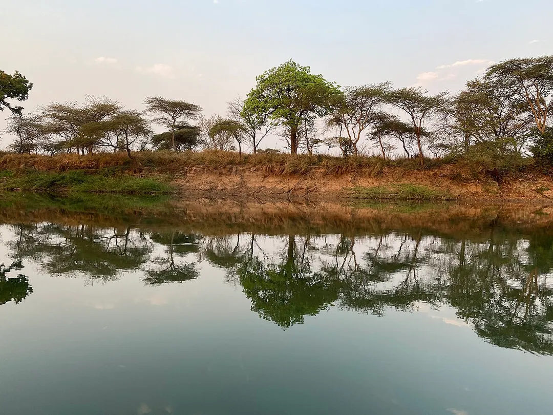 Stunning forests on the bank of the Kabompo River, West Lunga national Park. A truly un touched and natural part of the country. @MarkTownsendZambia