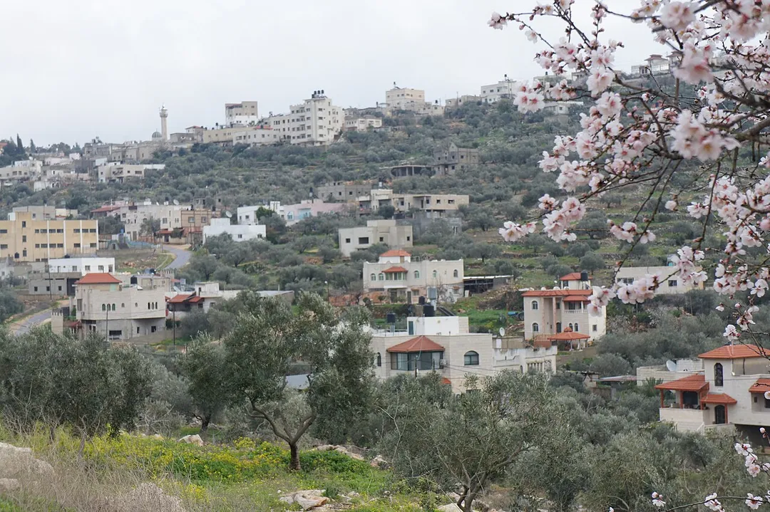 Kufr ad-Deek, Palestine, February, 2012