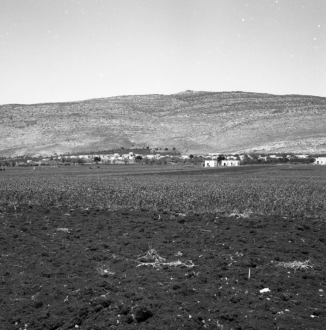 Atzmon (Israel) Photographs;Kafr Manda (Israel)Agriculture Israel