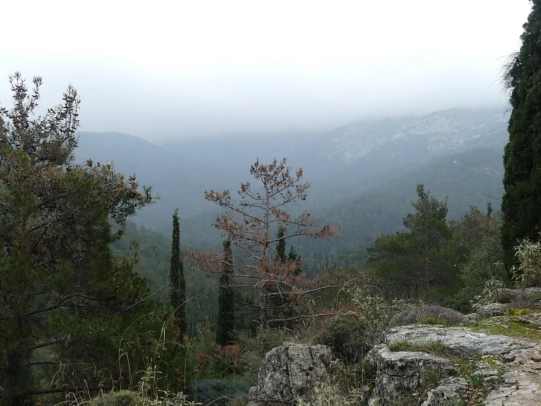 This is a photograph of a Natura 2000 protected area with ID
