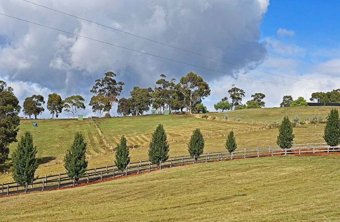 Photo of Kangaroo Ground