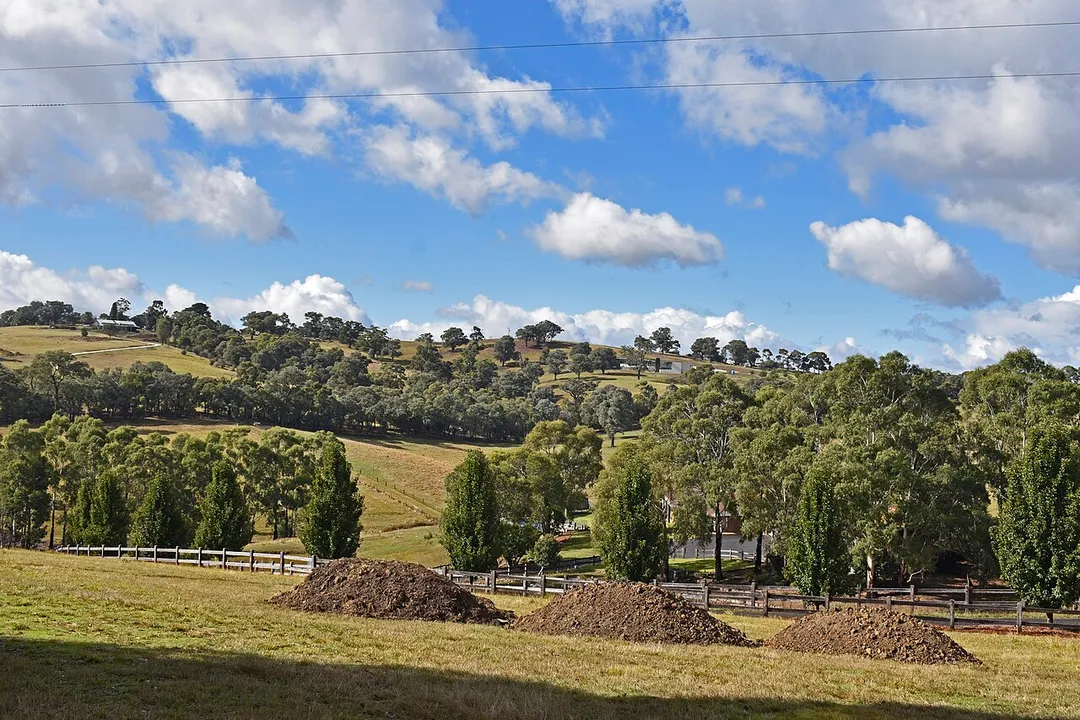 Photo of Kangaroo Ground