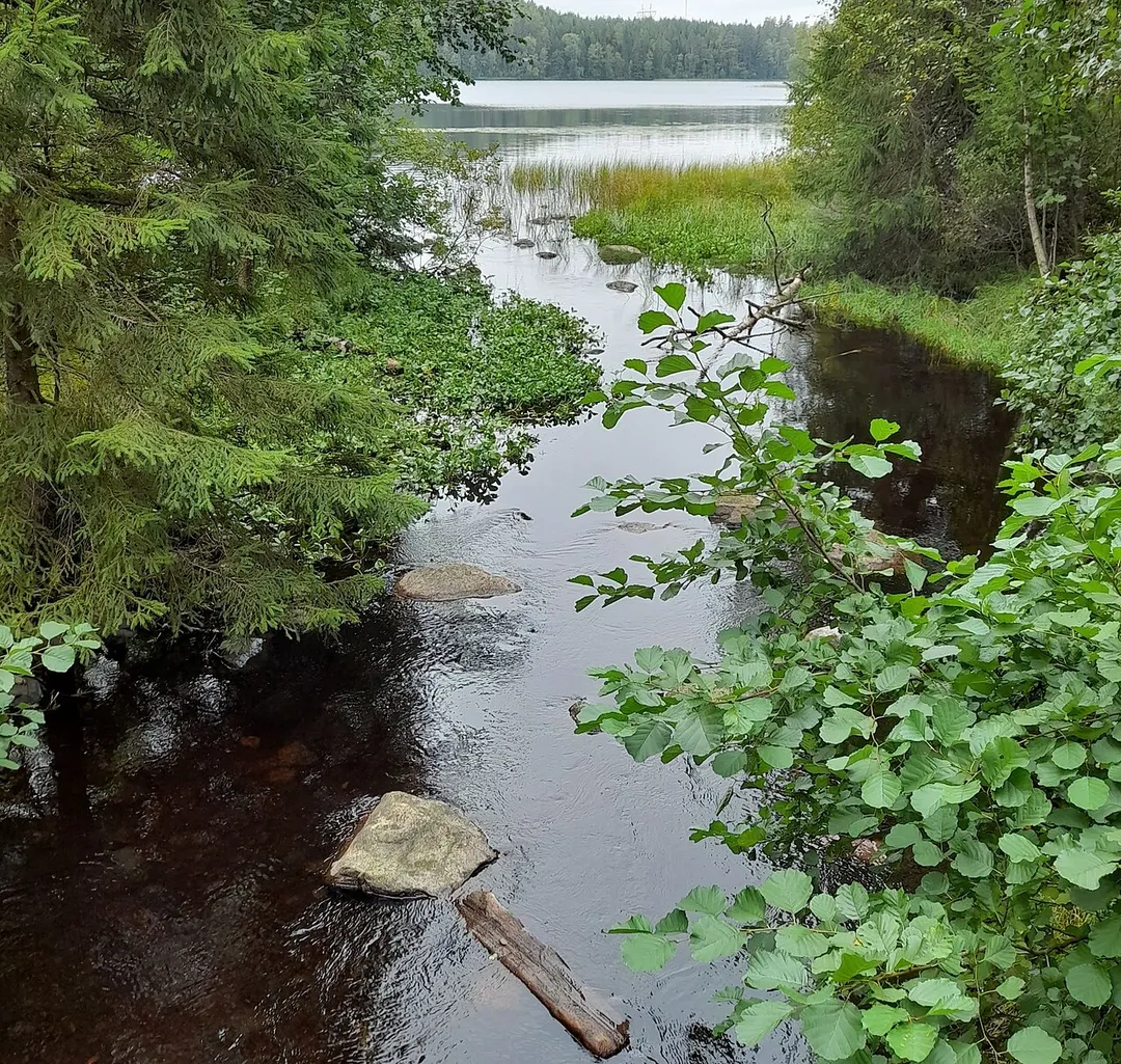 Vuotinaistenjärvi Karkkilassa, Nuijajoen suusta