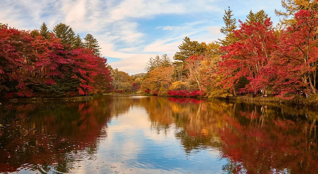 Kumoba Pond surrounded by autumn foliage trees in Karuizawa.