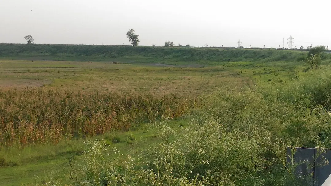 This picture on the katihar range highway This is obviously plain grassland besides the road.