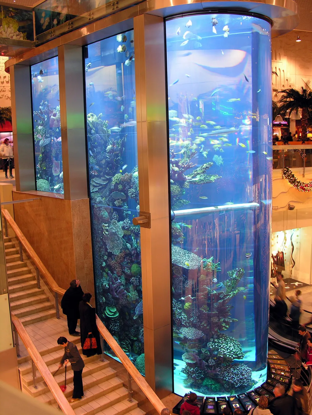 Mega akvariumas, Kaunas.