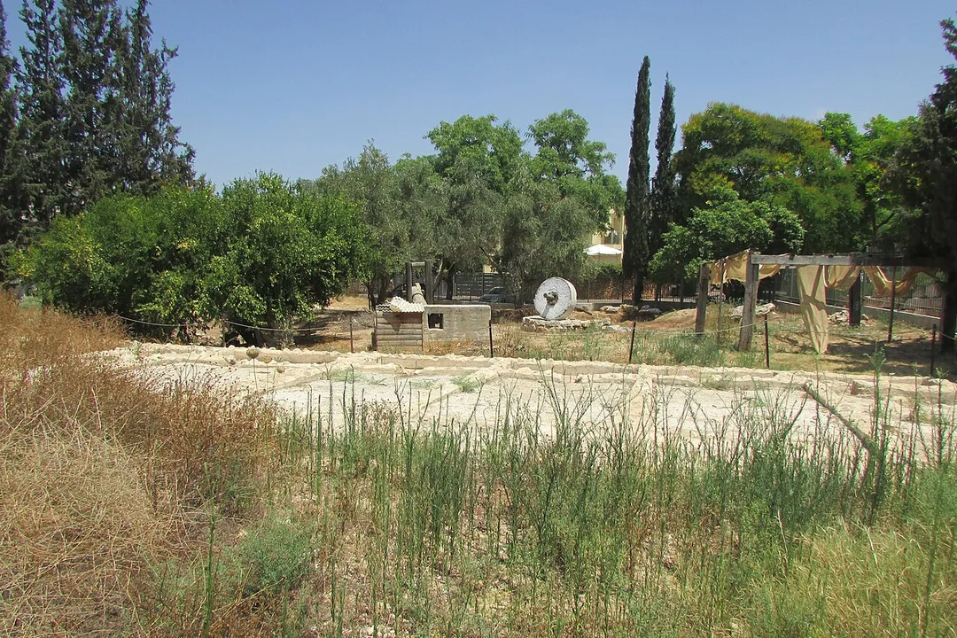 Archaeological garden, Kfar Sava