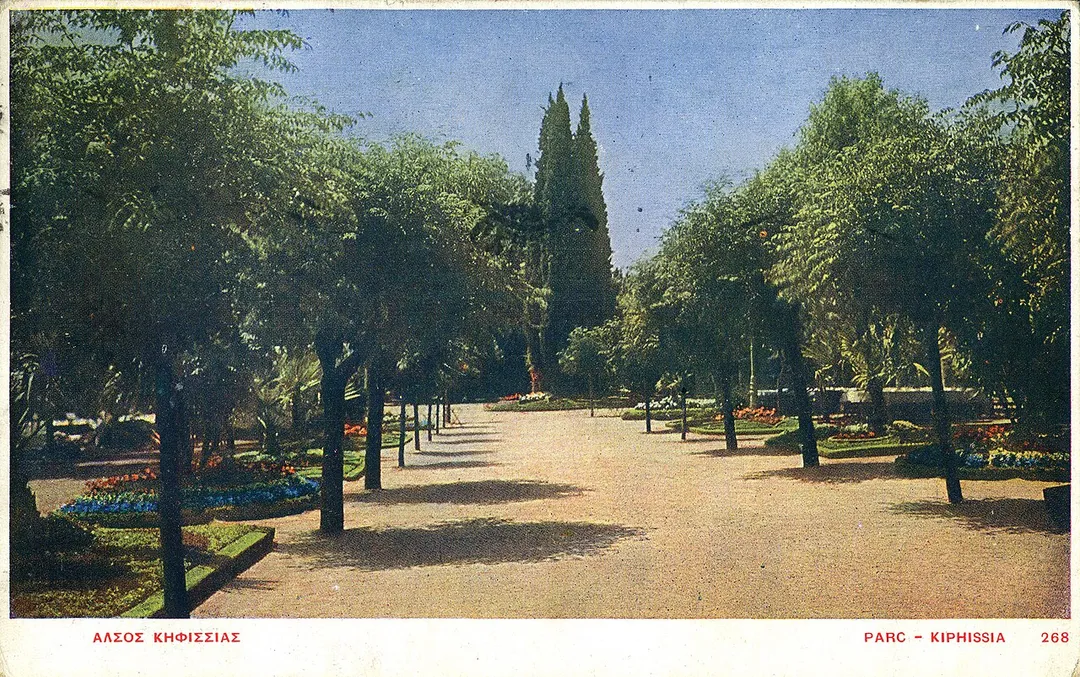 Kifissia Grove. Postcard published by Aspiotis, in c. 1915.
