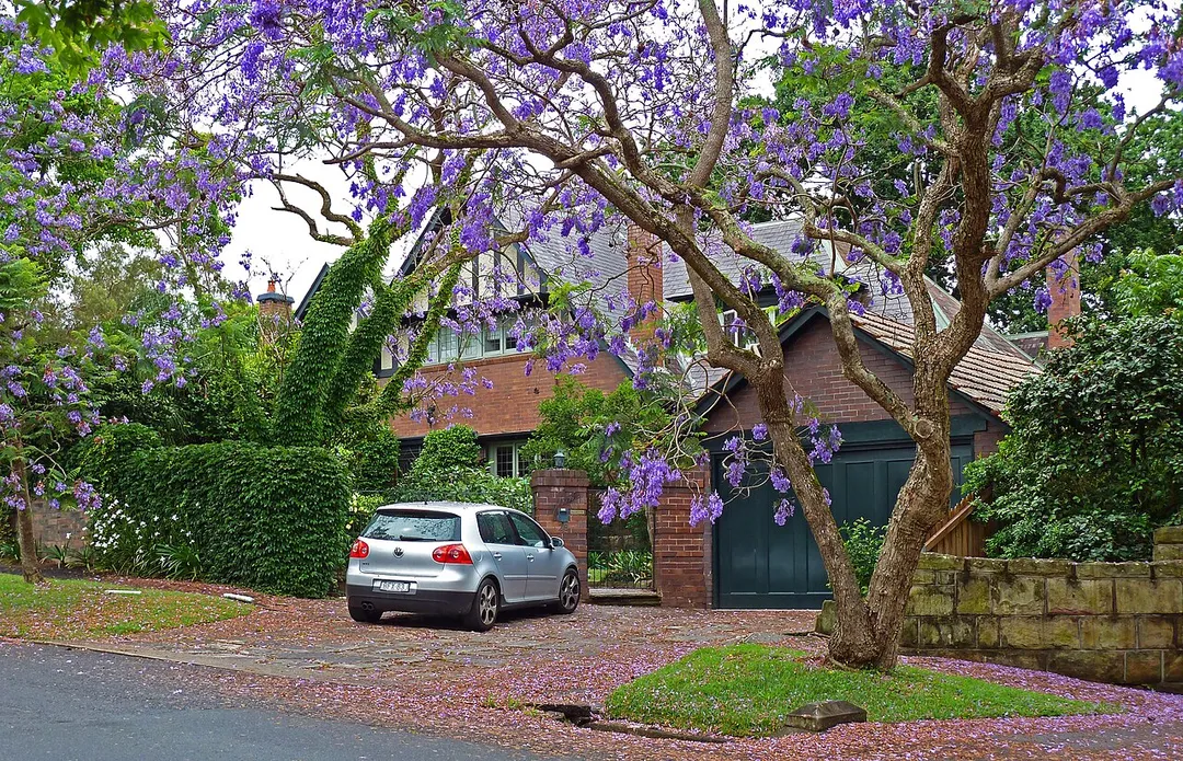 26 Springdale Road, Killara, New South Wales, Australia.
