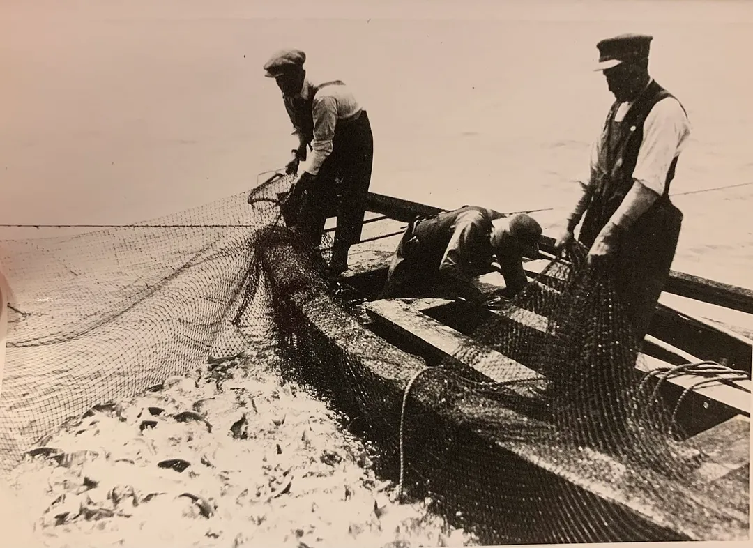 An old image of fishermen using pound nets in Killarney Ontario, circa the 1920s.
