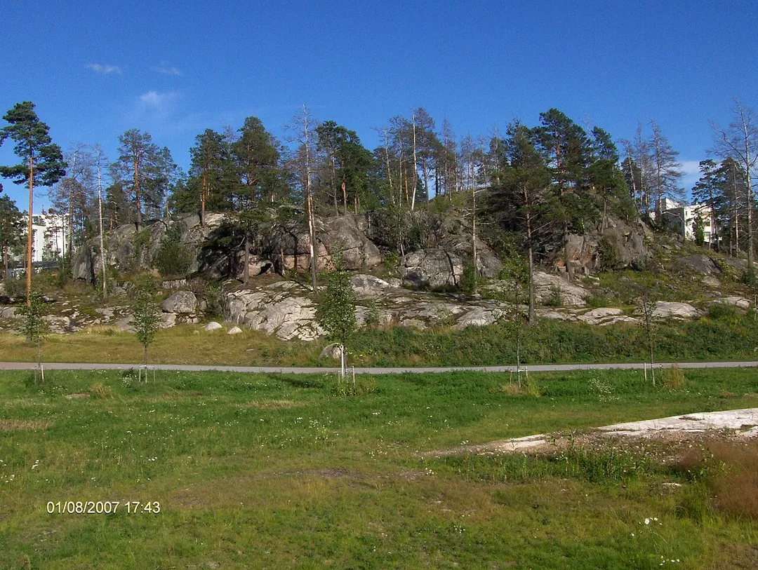 Kallio,Kivikko