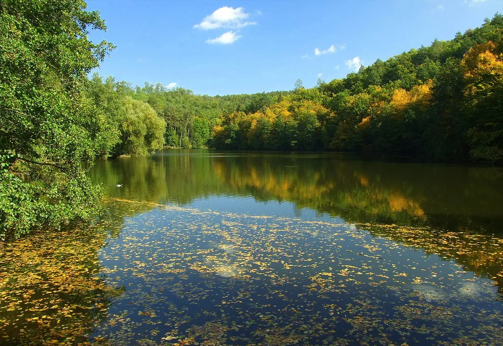 Autumn colors in Marianske udoli (near to Brno).