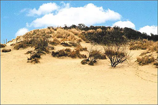 Photo of Koksijde