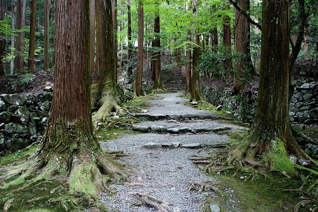 Kōzan-ji in Kita-ku, Kyoto, Kyoto Prefecture, Japan.  It was registered as part of the UNESCO World Heritage Site "Historic monuments of ancient Kyoto".