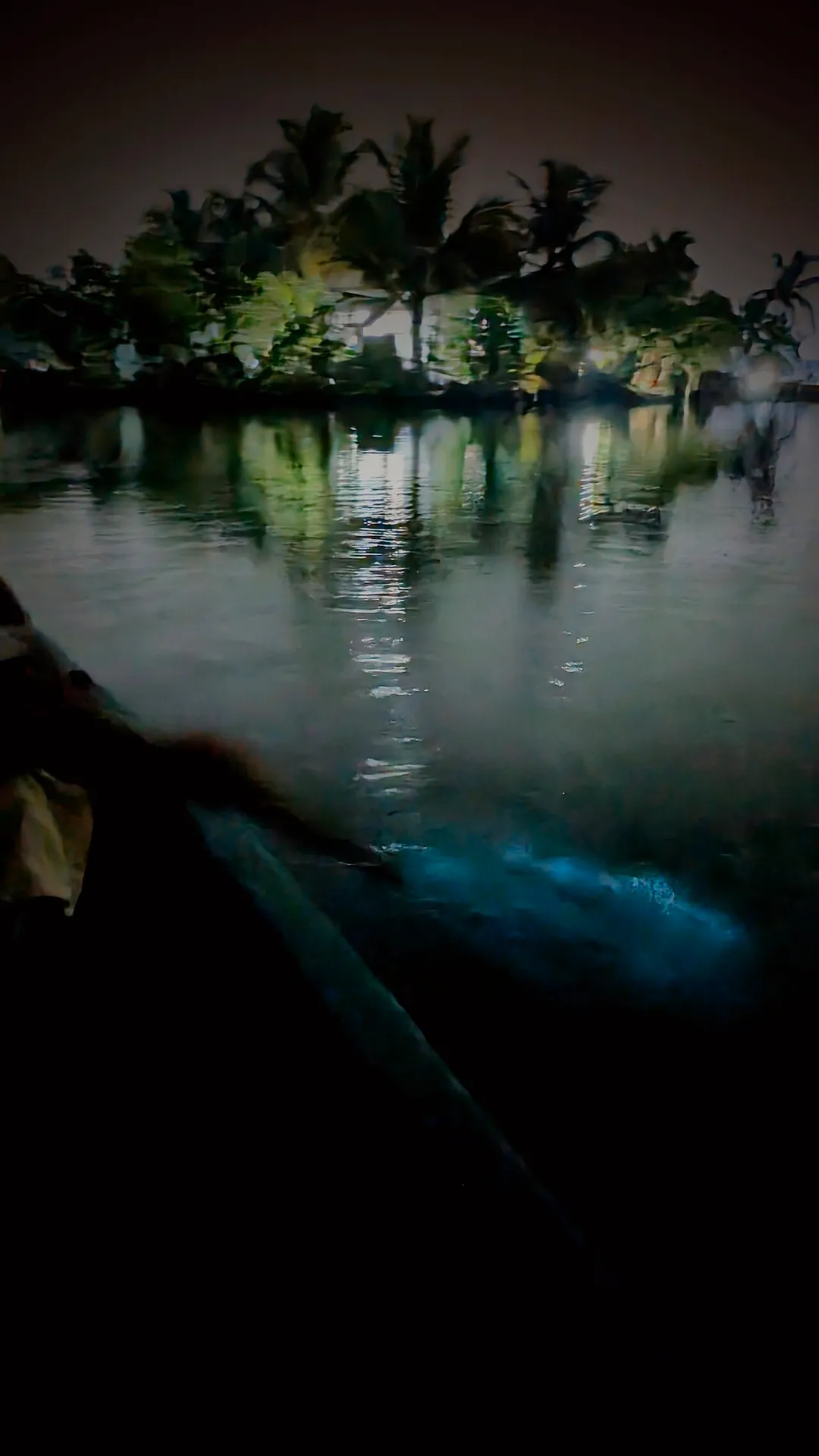 Kavaru (bioluminescence) at Kumbalangi