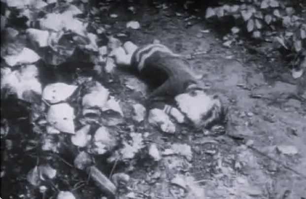 Düsseldorf police crime scene photograph depicting the body of Gertrude Hamacher, as discovered in August 1929.