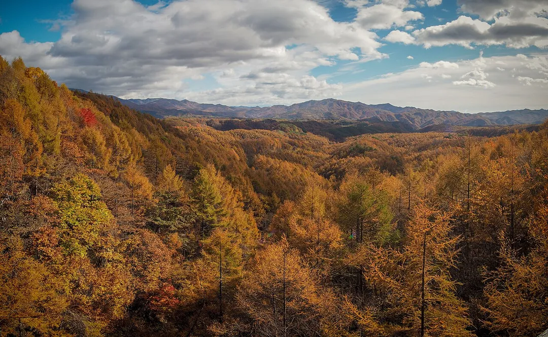 Autumn colours in Kusatsu Machi, Agatsuma District, Gunma Prefecture, Japan