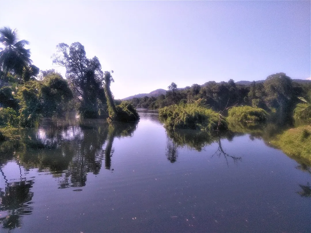 Kuttampuzha river,a tributary of the Periyar.
