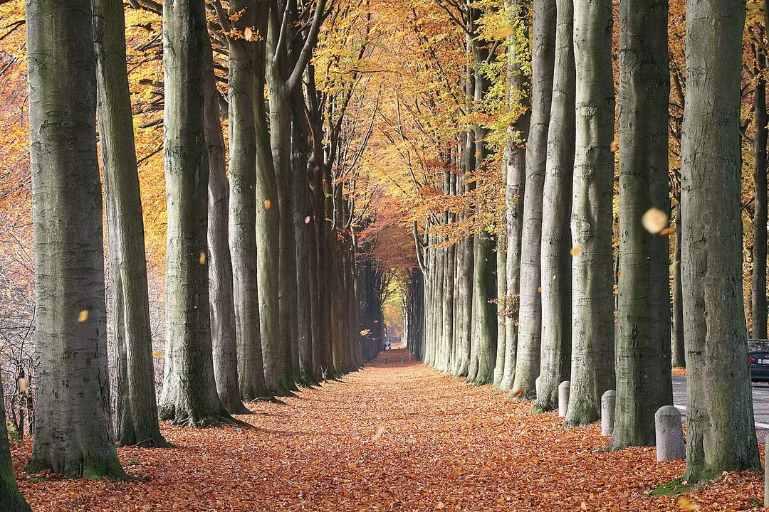 This is a photo of a monument in Wallonia, number: