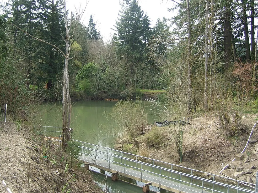 The Lake Oswego Canal as it connects to the Tualatin River, April 2008