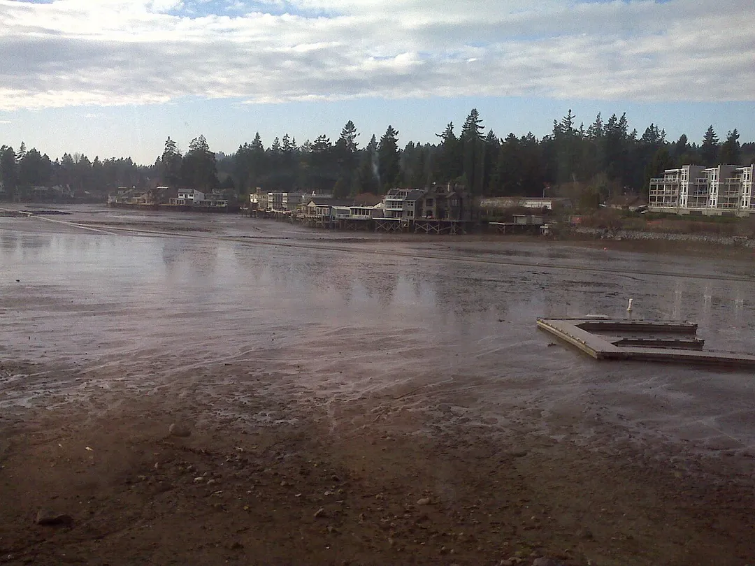Oswego Lake during 2010-2011 drawdown, January 2011