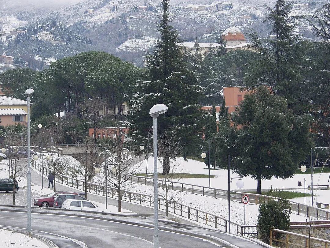 Public gardens with snow