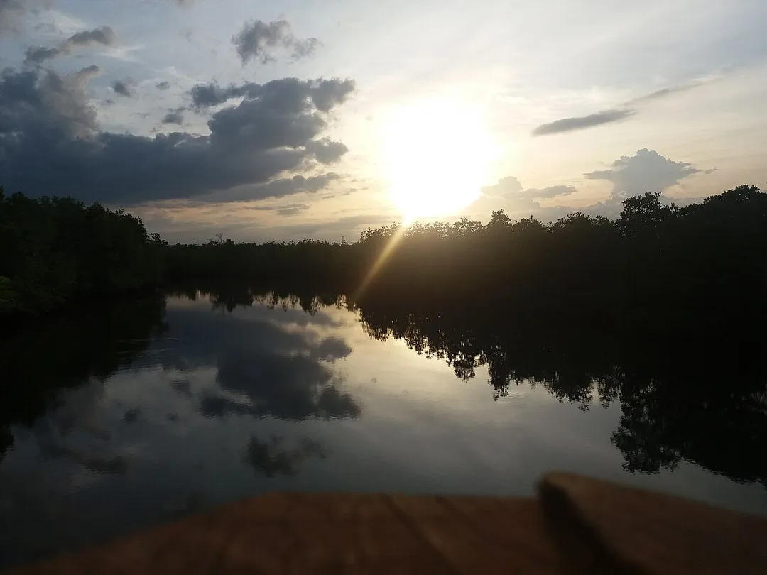 Begitu indah nan pesonanya suasana sore yang diakhiri tenggelamnya matahari di upuk barat dari sudut pandang kawasan wisata hutan mangrove desa kuala langsa, kecamatan langsa barat, kota langsa