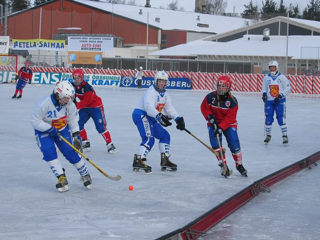 Finland vs. Norway at the Bandy World Championships for Women, 2004, in Lappeenranta, Finland.