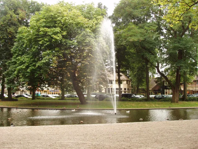 Coeswaerde Laren