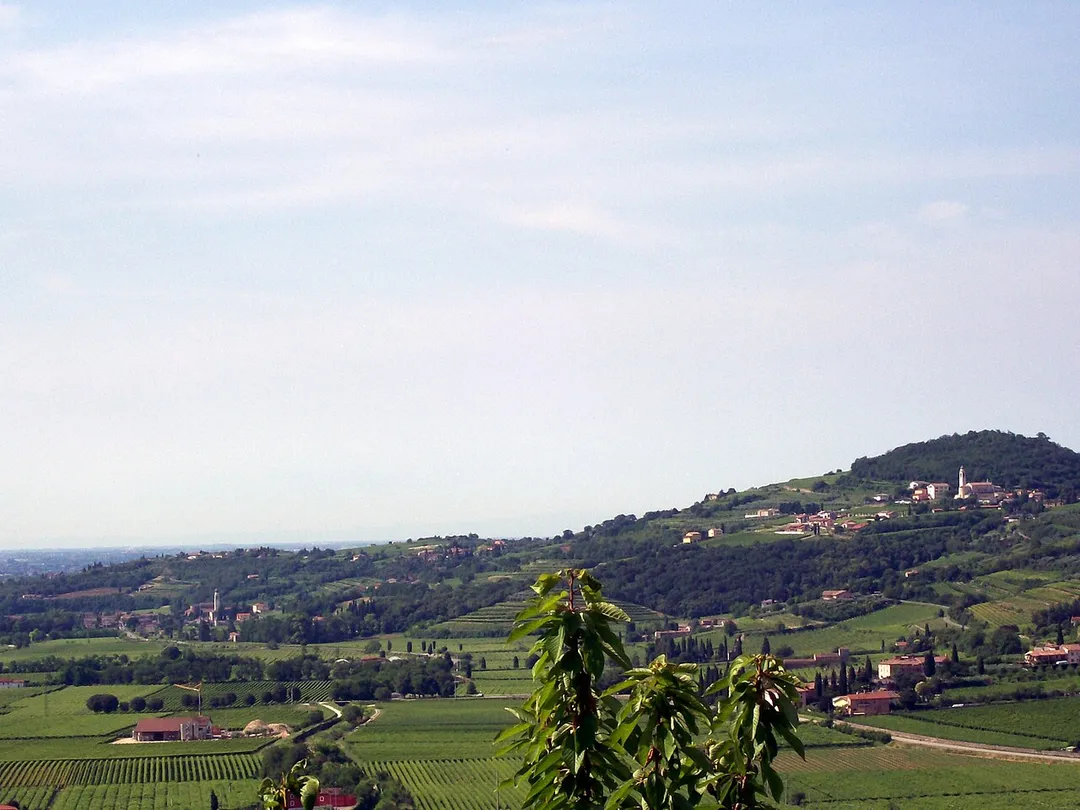 Veduta dei paesi di S. Pietro e di S. Briccio di Lavagno (VR). Riconoscibili i campanili delle chiese parrocchiali.