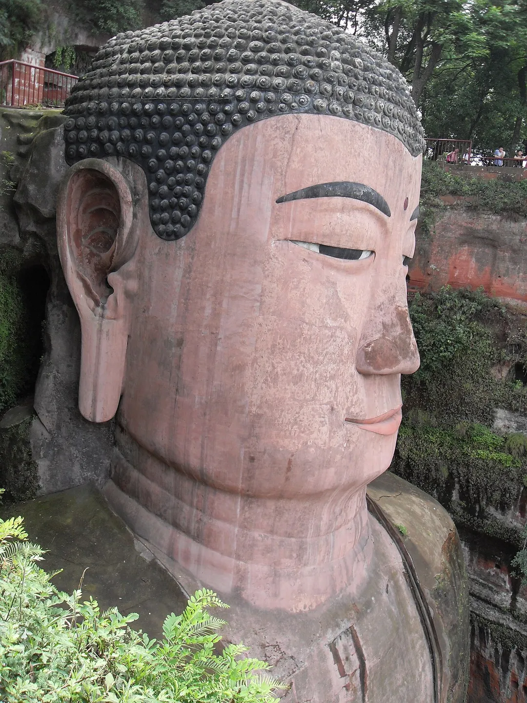 Head of the great Buddha of Leshan