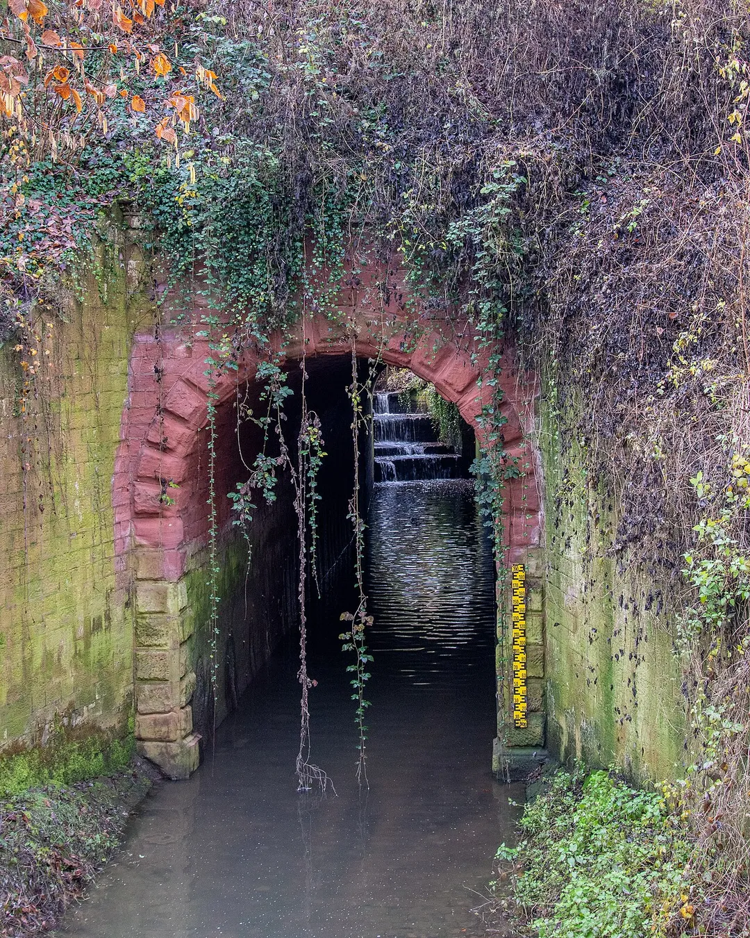 The Old Rhine in Lingenfeld (Southern Palatinate). The Hofgraben flows into it beneath the Germersheim-Schifferstadt railway line.





This is a picture of the protected area listed at WDPA under the ID 555521679

Rheinniederung Germersheim-Speyer – protected area in the European Union defined by the habitats directive in Rheinland-Pfalz, Germany

Year of the regulation: 2000
Natura-2000-ID: DE6716301
Wikidata ID: Q60663754






This is a picture of the protected area listed at WDPA under the ID 555740226

Pfälzische Rheinauen – protected landscape area in Rheinland-Pfalz, Germany

Year of the regulation: 1989
Rhineland-Palatinate Protected Area ID: LSG-7300-001
Wikidata ID: Q61851450