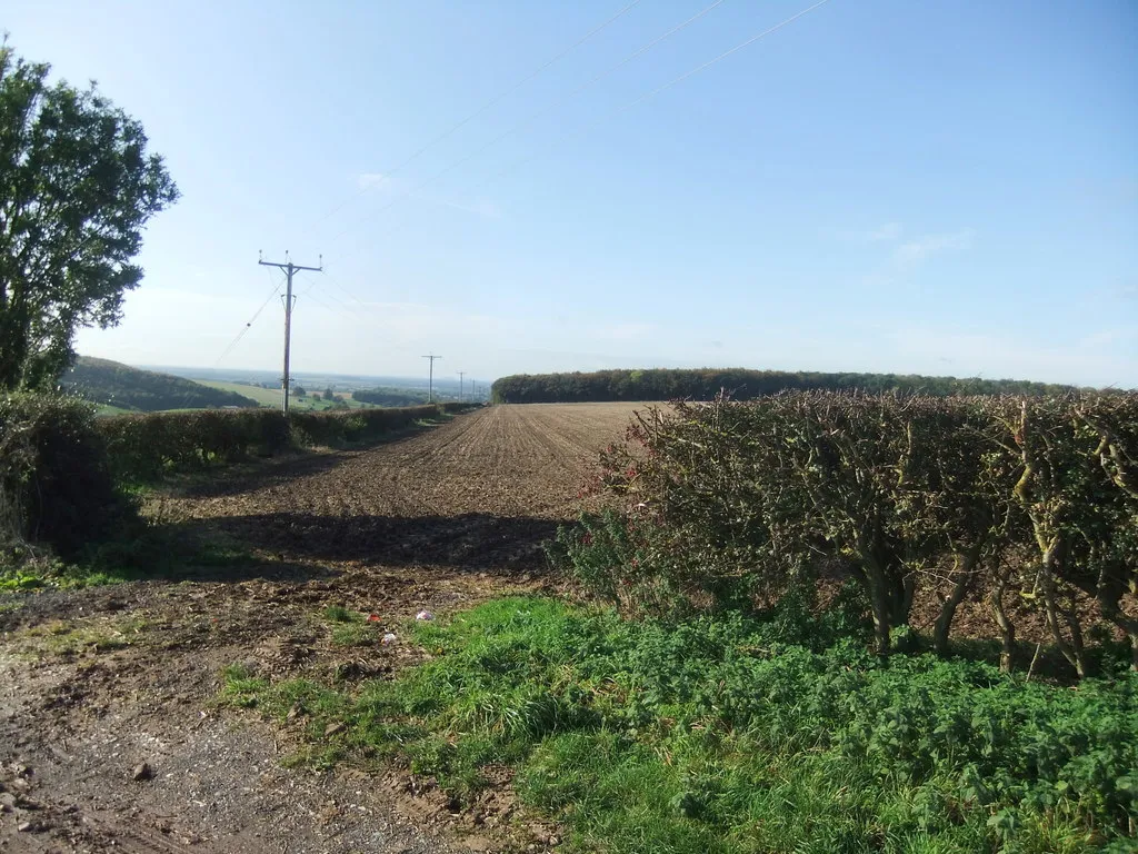 Londesborough Wold